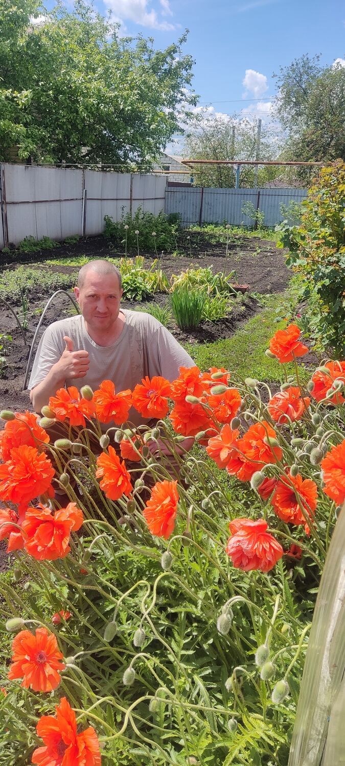 ���� 55386766 ������� �����, 44 ����, ���� ���������� � �������