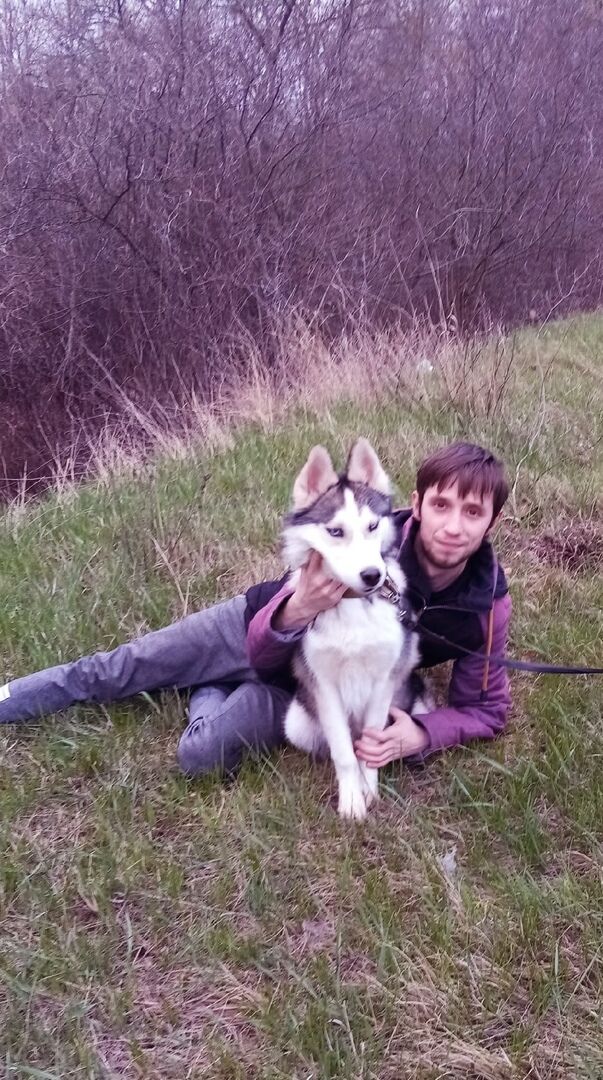 ���������� ����������, ���� ������� �����, 33 ����, ������������ ��� ������, ����� � ���������, c�������� ���������, ���������