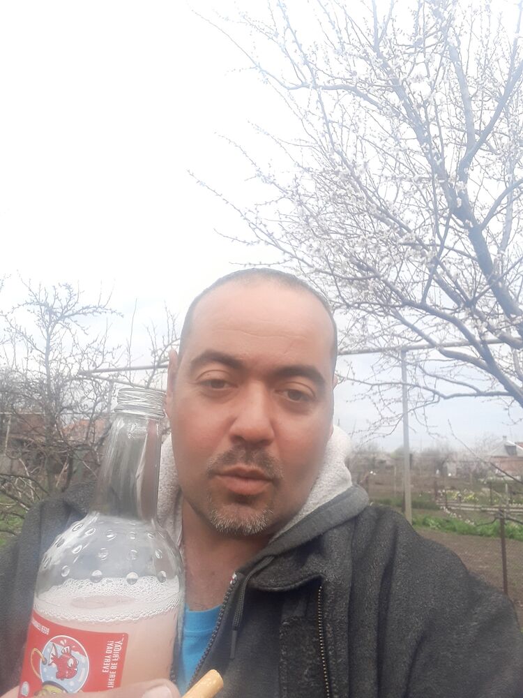 ���� 23553236 ������� ���������, 44 ����, ���� ���������� � ���������