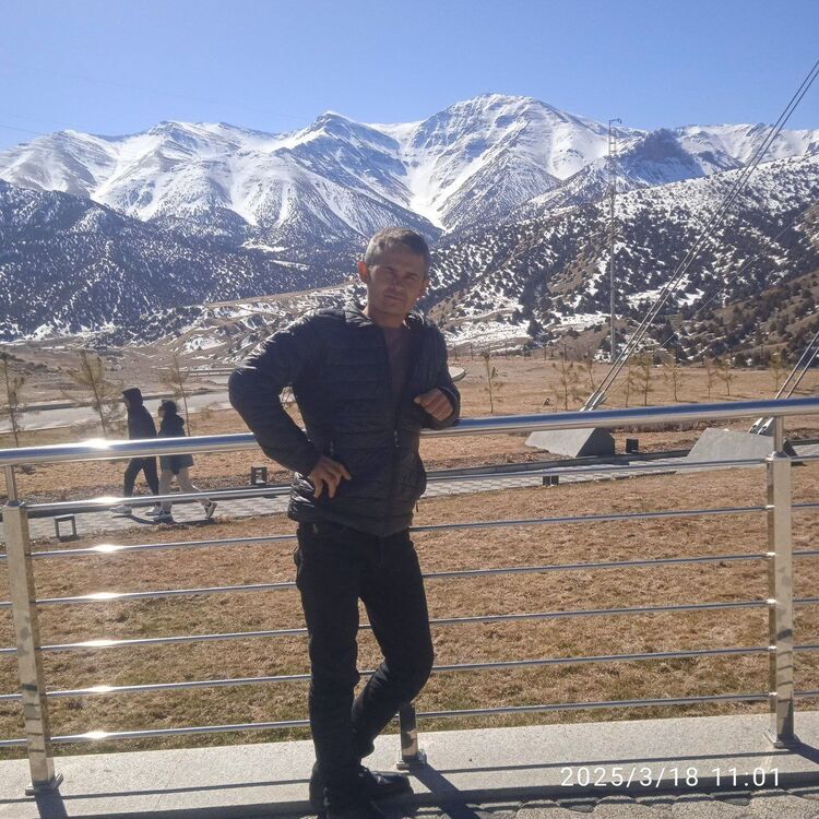  53345236  , 38 ,    -