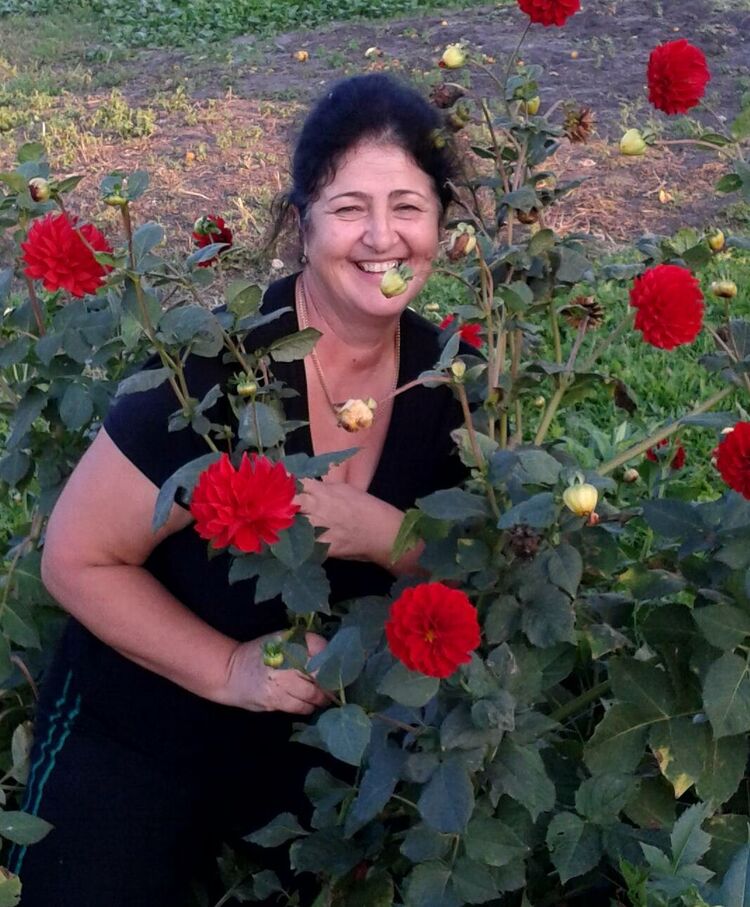 ���������� �������, ���� ������� ������, 70 ���, ������������ ��� c�������� ���������, ���������