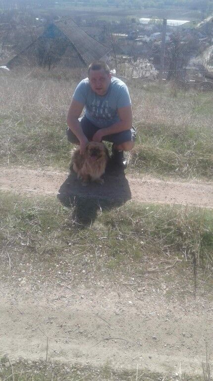 ���������� ������, ���� ������� ����, 37 ���, ������������ ��� ������, ����� � ���������, c�������� ���������, ���������