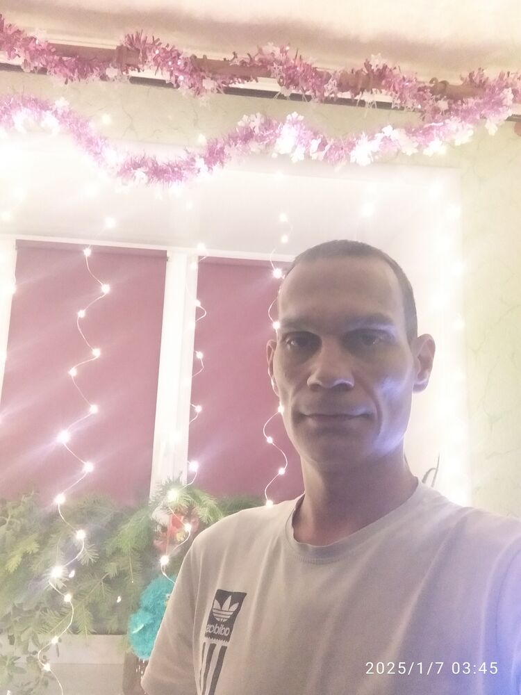  49479056  , 38 ,    