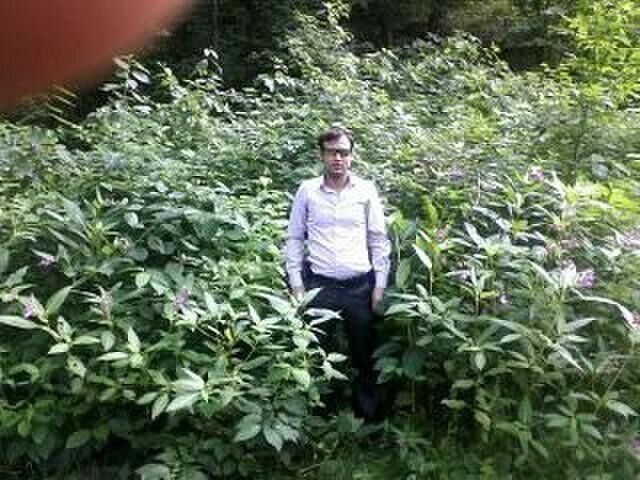  ,   , 40 ,   ,   
