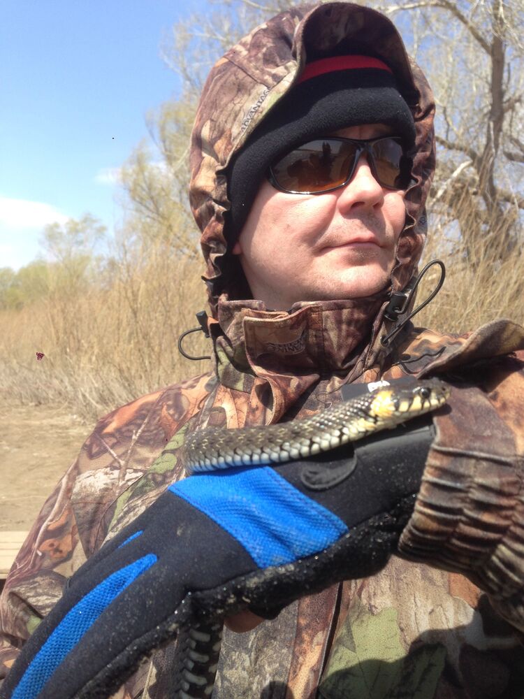 ���������� ������, ���� ������� ������, 43 ����, ������������ ��� ����� � ���������, c�������� ���������