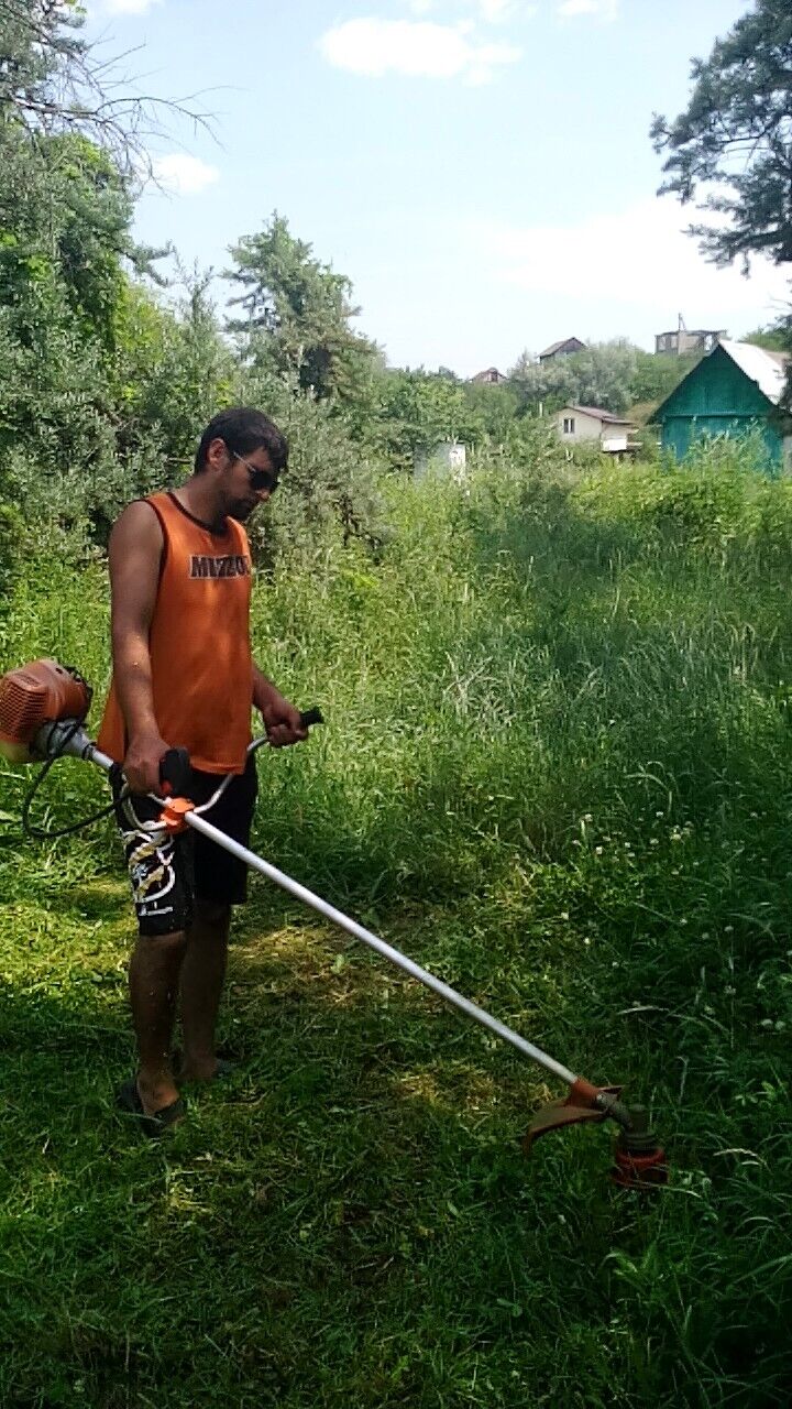  ,   Temur, 31 ,   c 