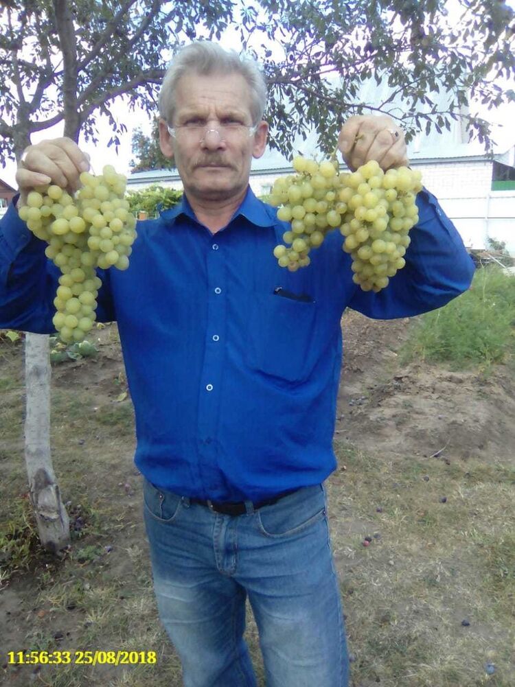 ���� 18284286 ������� ����������, 61 ���, ���� ���������� � ������