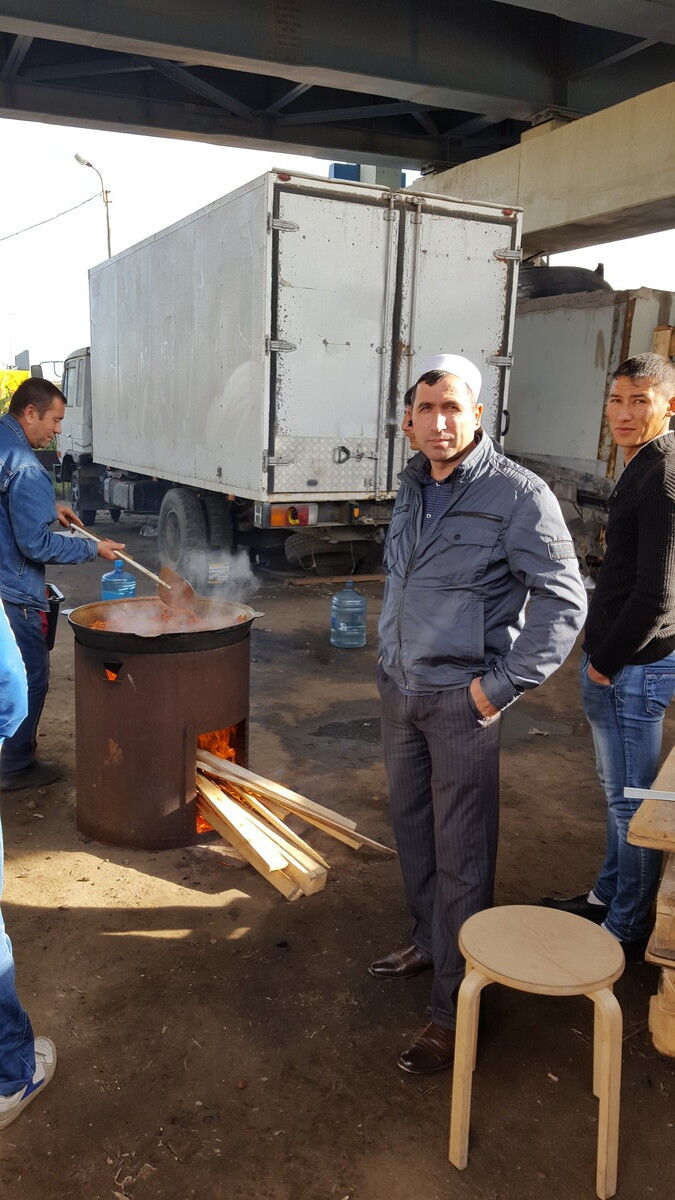  8365876  , 49 ,    -