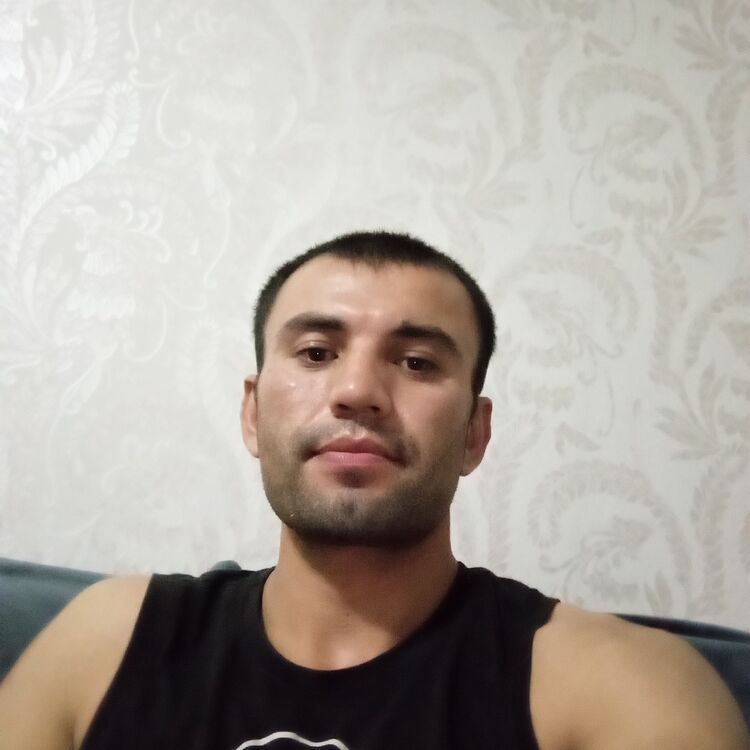  46652556  , 31 ,    