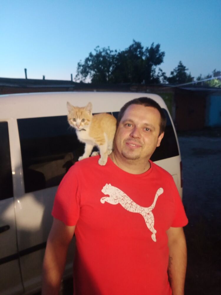   ,   , 38 ,   ,   , 