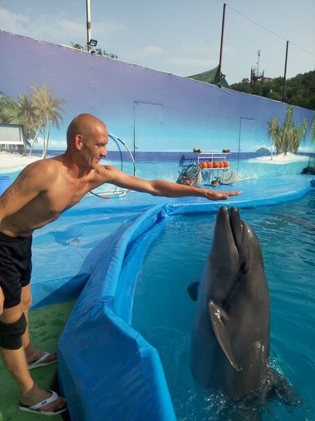 ���������� �������, ���� ������� ����, 38 ���, ������������ ��� ������, ����� � ���������, c�������� ���������