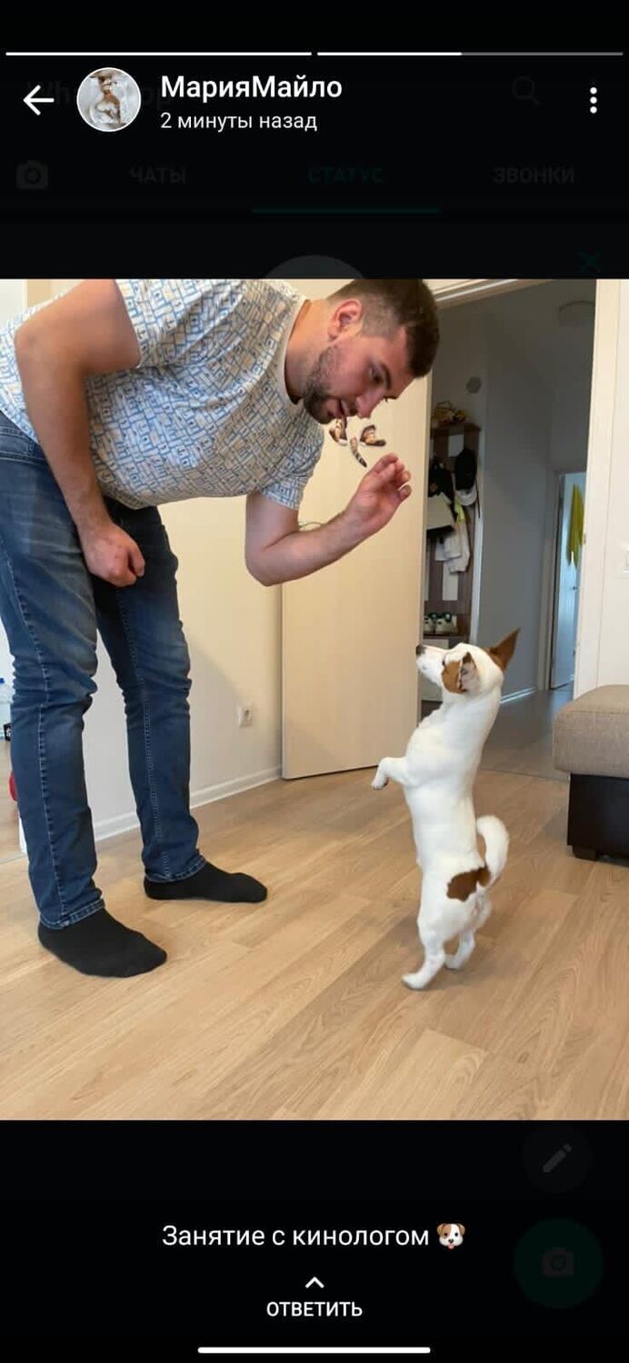  ,   Alex, 32 ,   ,   