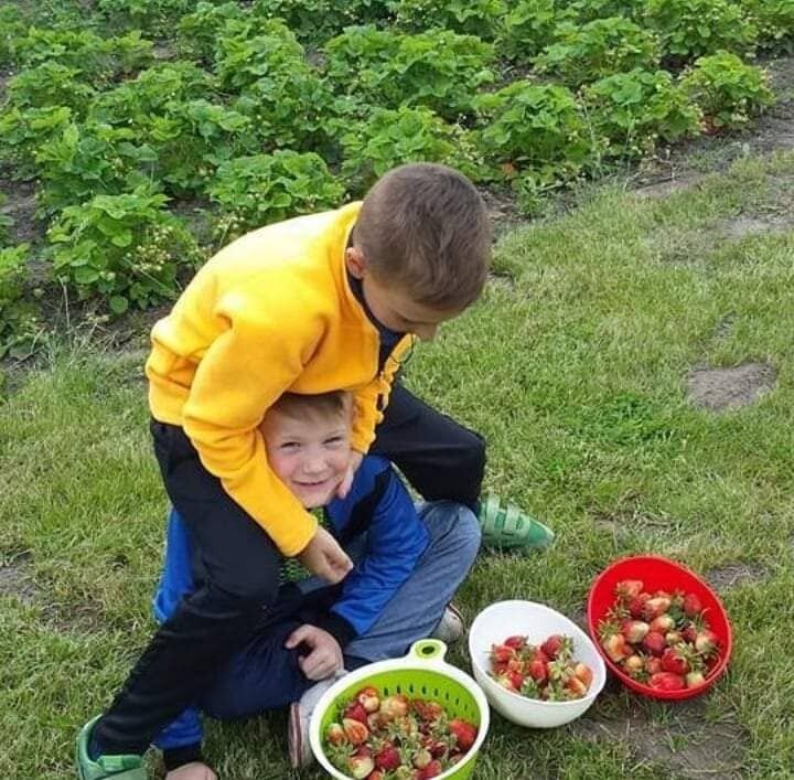  25065906  Kacper, 61 ,    Bielawa