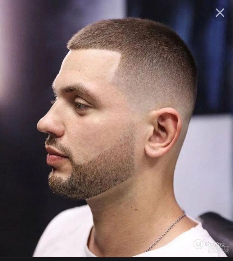 ���������� ���������, ���� ����� �����, 23 ����, ������������ ��� ������, ����� � ���������