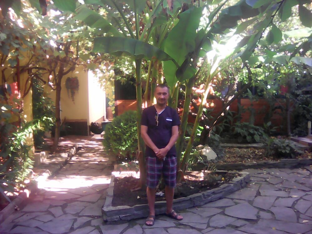  7052646  , 50 ,    
