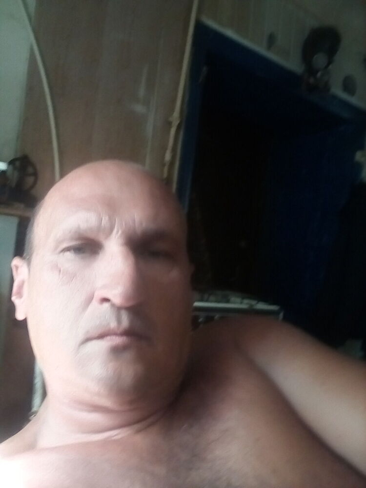  20448036  , 49 ,    