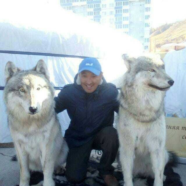 ���������� ������, ���� ������� ��������, 47 ���, ������������ ��� ������