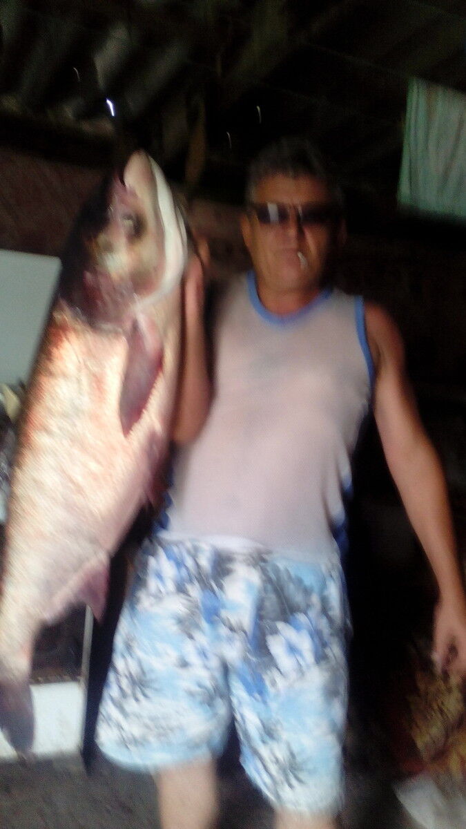  ,   , 53 ,   
