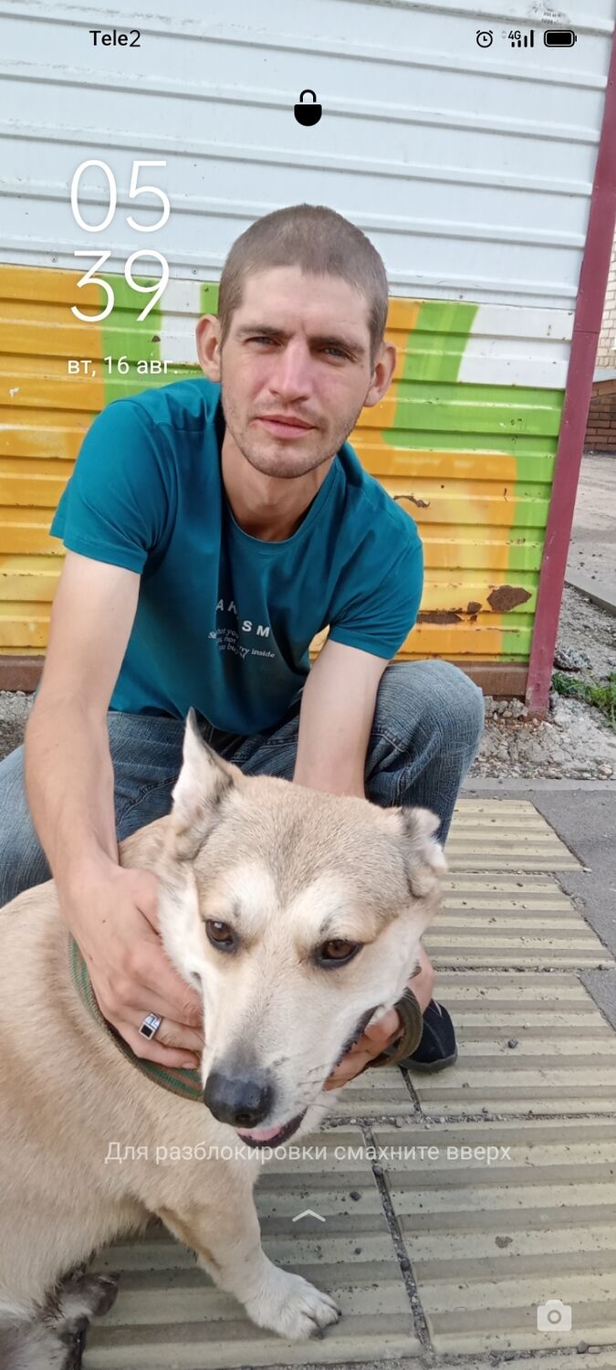 ���� 29230646 ������� �������, 35 ���, ���� ���������� � �������