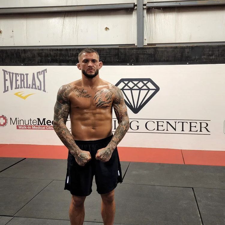  27536566  , 25 ,    -