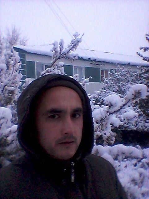 ���� 8318056 ������� ZAMIR, 43 ����, ���� ���������� � ��������