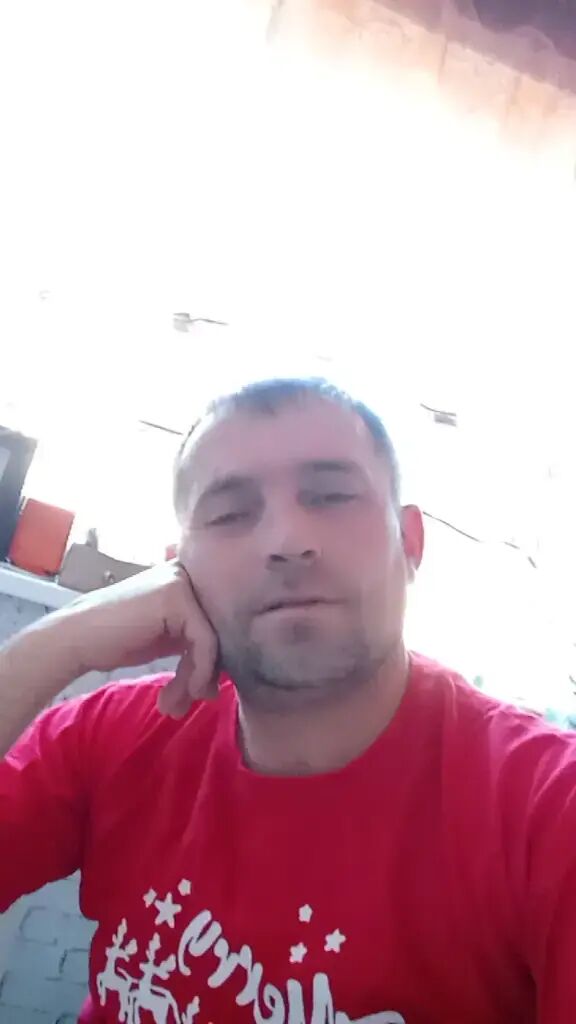  49925606  , 41 ,    