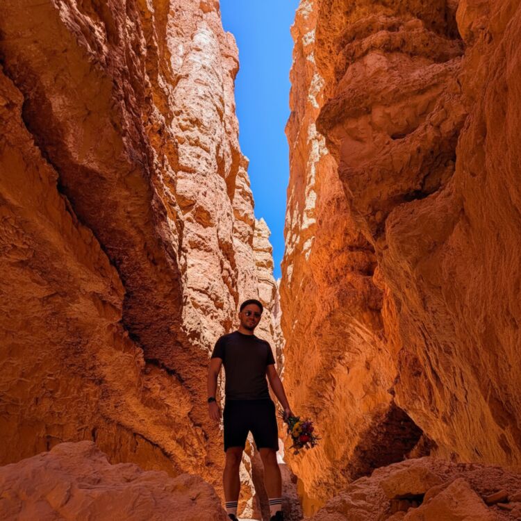 ���� 54933576 ������� ����, 30 ���, ���� ���������� � �������������