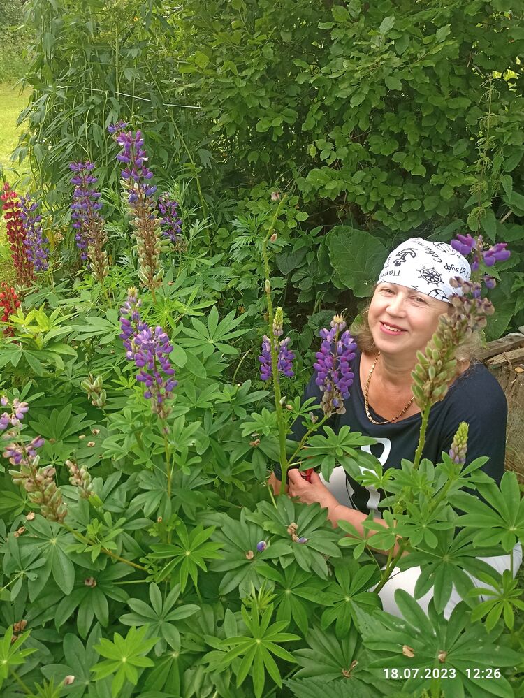 ���� 52425556 ������� ��������, 60 ���, ���� ���������� � ������������