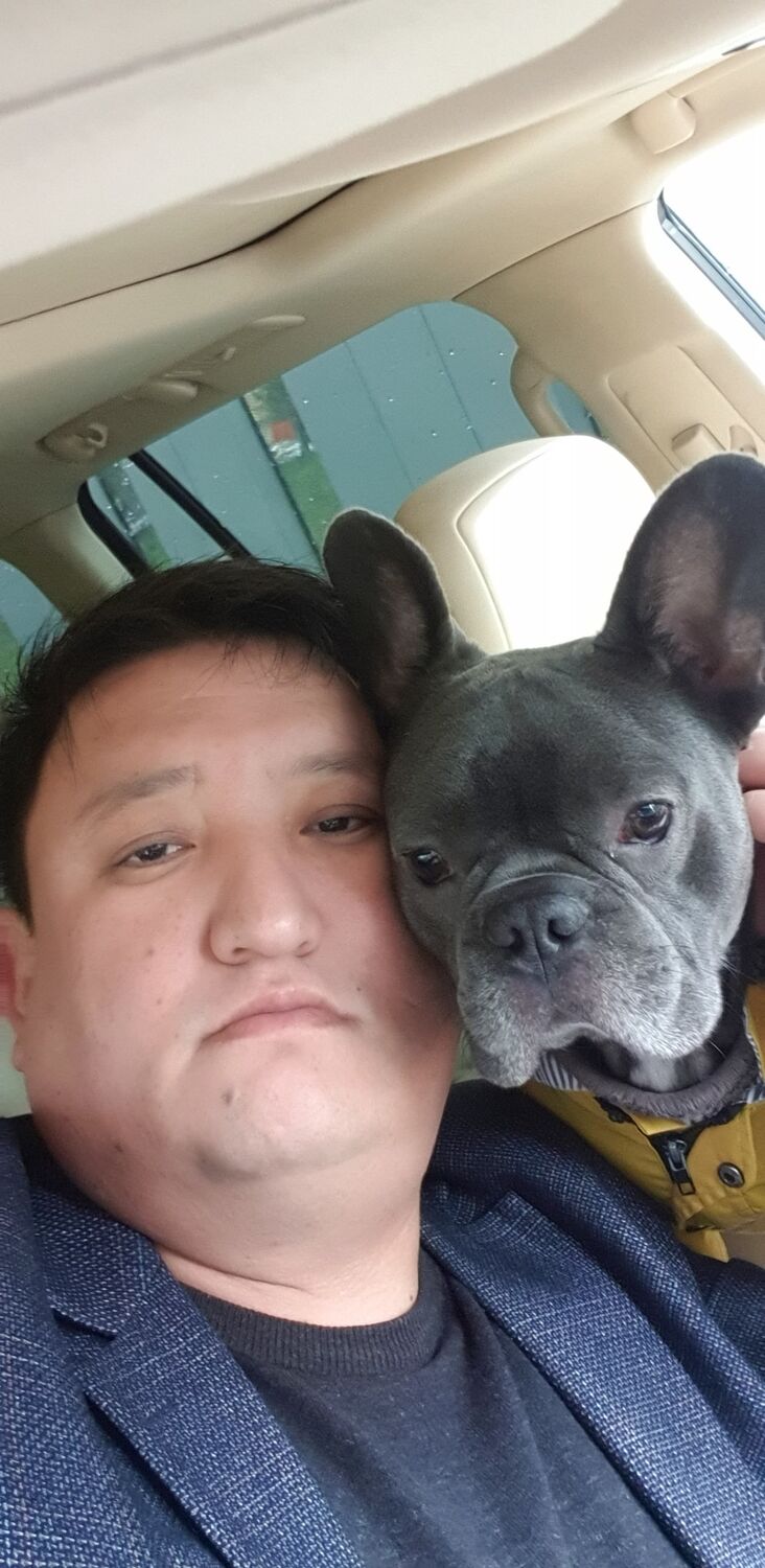  ,   , 43 ,   ,   