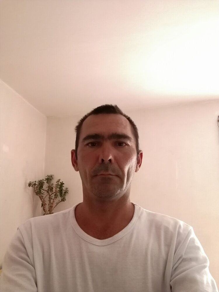  20511456  , 38 ,    