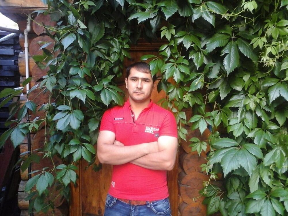 ���� 46109636 ������� Sher, 40 ���, ���� ���������� � �������������