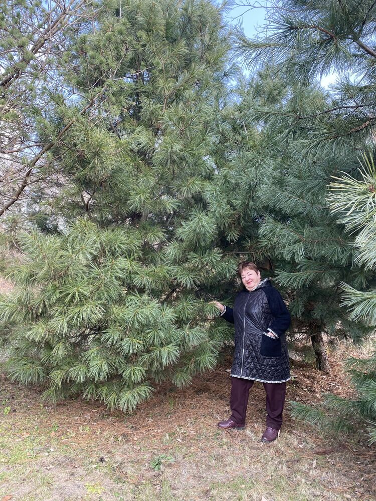 ���������� �����������, ���� ������� �����, 58 ���, ������������ ��� ������, ����� � ���������, c�������� ���������, ���������