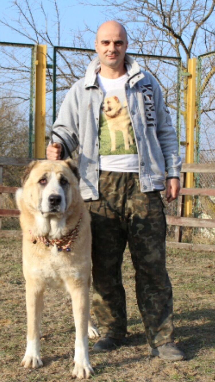 ���� 24524916 ������� ������, 43 ����, ���� ���������� � ������