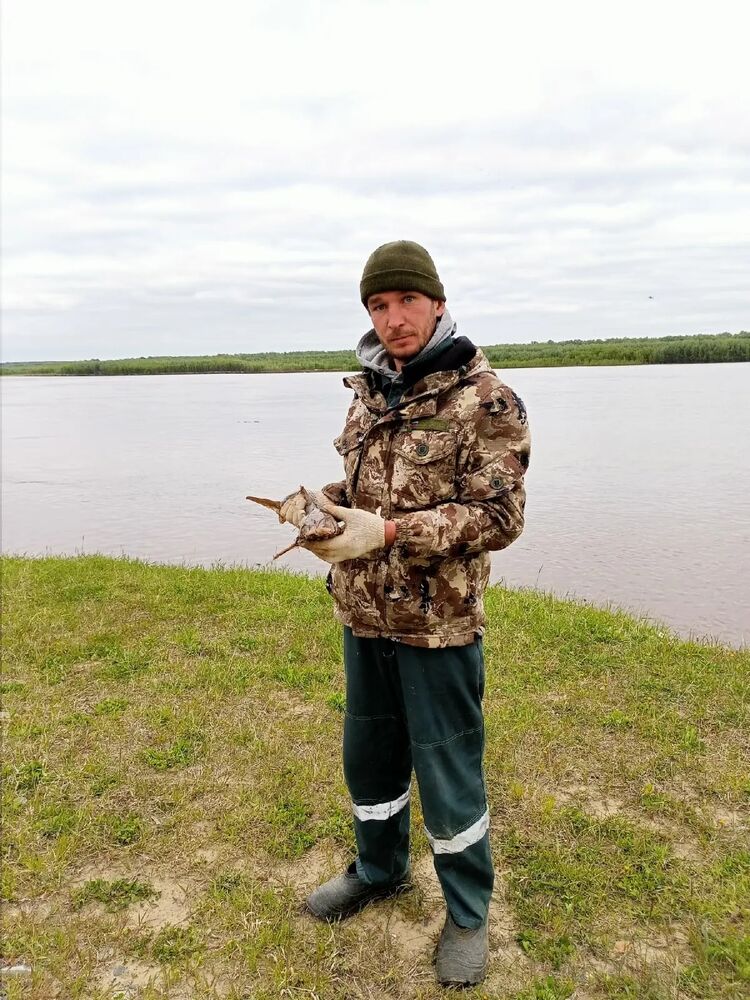 ���������� ������, ���� ������� ������, 37 ���, ������������ ��� ������, ����� � ���������, c�������� ���������