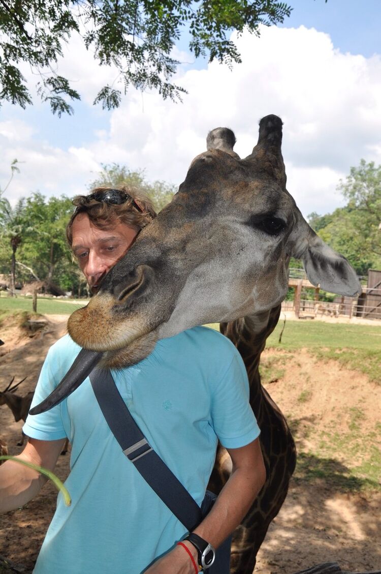 ���� 4133696 ������� ����, 54 ����, ���� ���������� � �����-����������