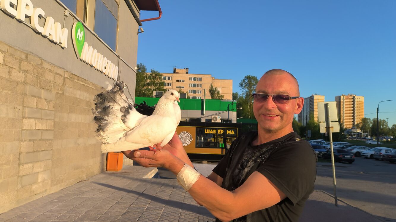 ���������� �����-���������, ���� ������� �������, 46 ���, ������������ ��� ������, ����� � ���������