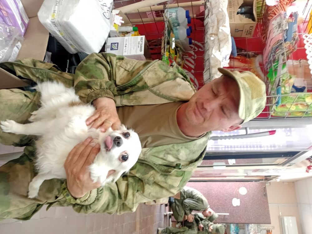  54459846  , 44 ,    -