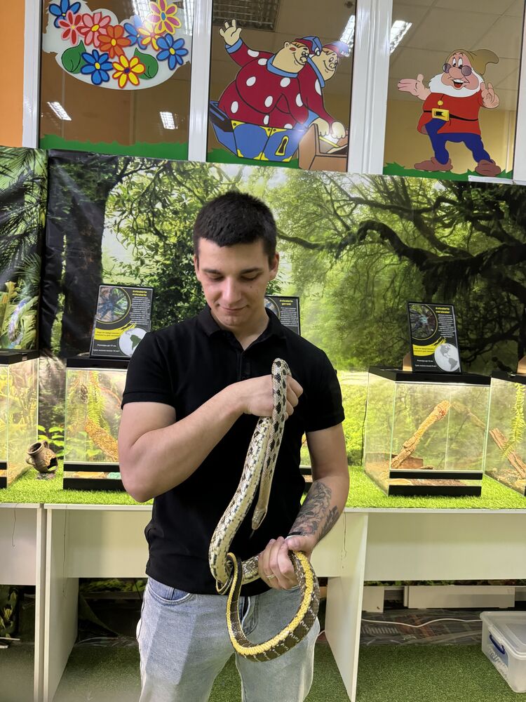 ���������� �������, ���� ����� ������, 25 ���, ������������ ��� ������, ����� � ���������, ���������