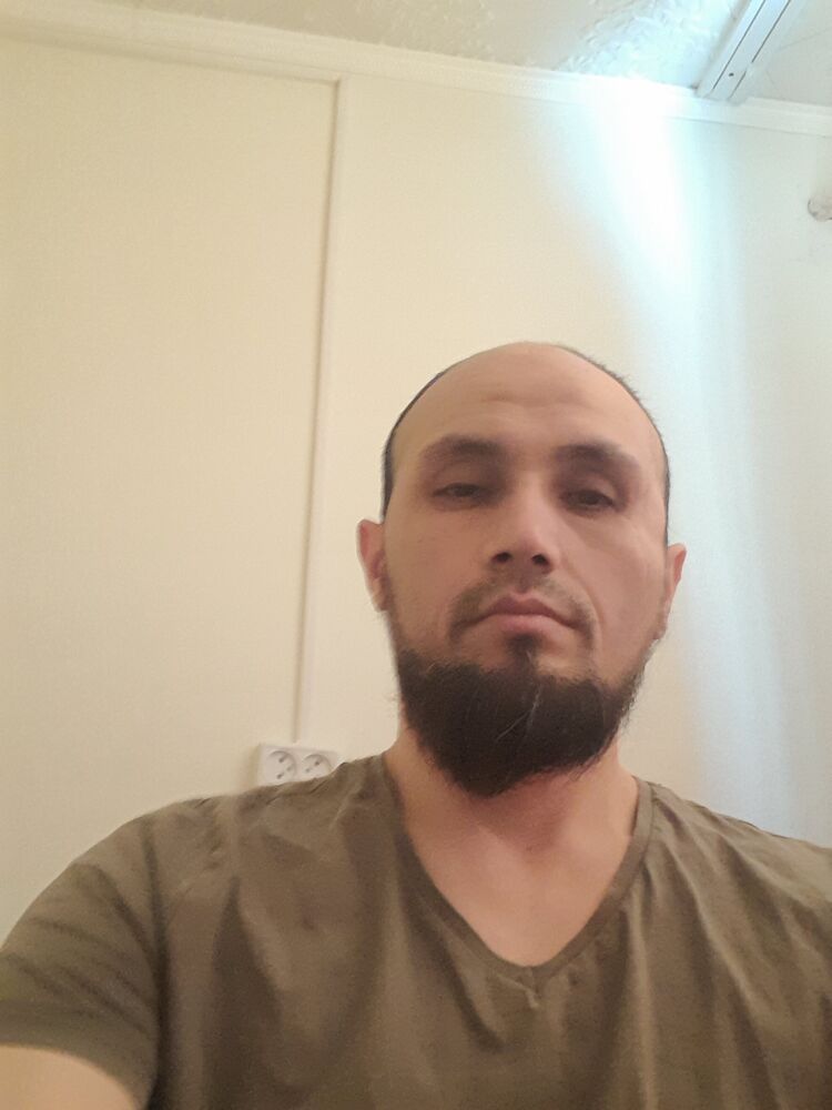  33793896  , 41 ,    