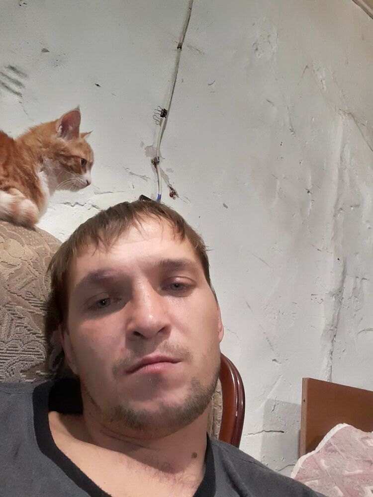 ���������� ���������, ���� ������� ��������, 41 ���, ������������ ��� ������, ����� � ���������, c�������� ���������