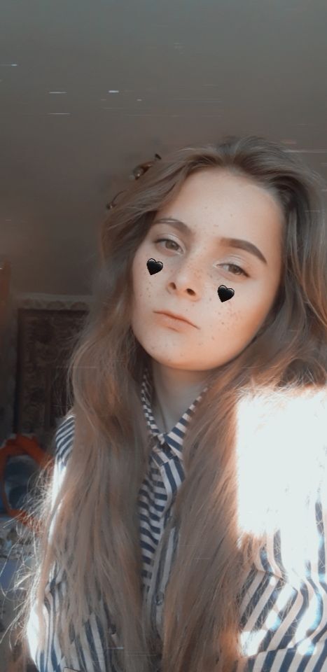  23818096  , 22 ,    
