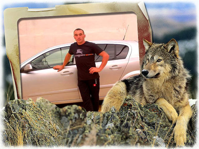 ���������� ���������, ���� ������� 89285185106, 36 ���, ������������ ��� ������, ����� � ���������, c�������� ���������