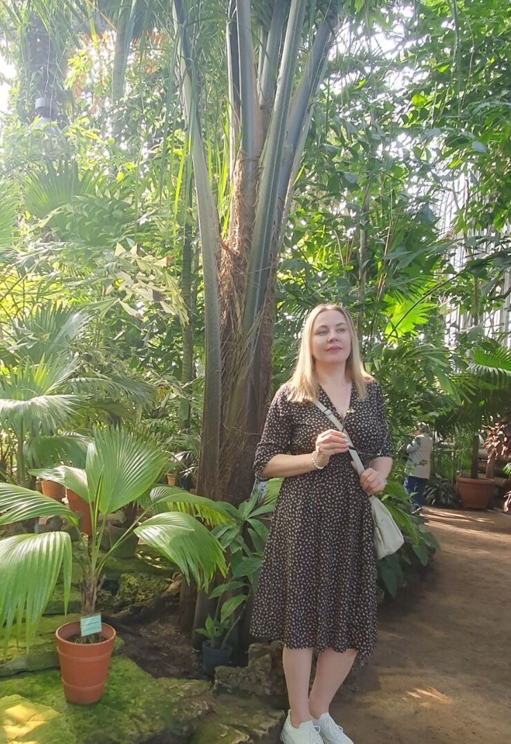 ���� 56362976 ������� �������, 48 ���, ���� ���������� � �������