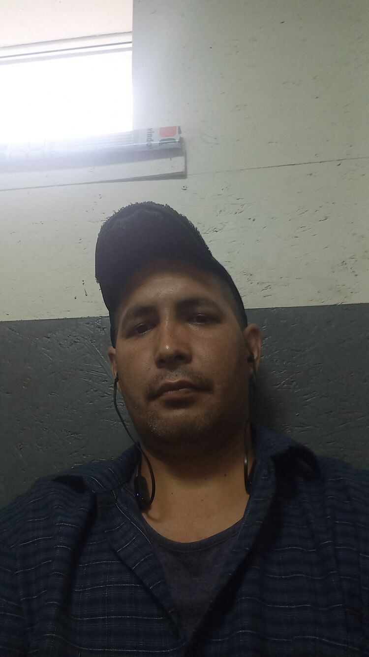  29034836  , 37 ,    
