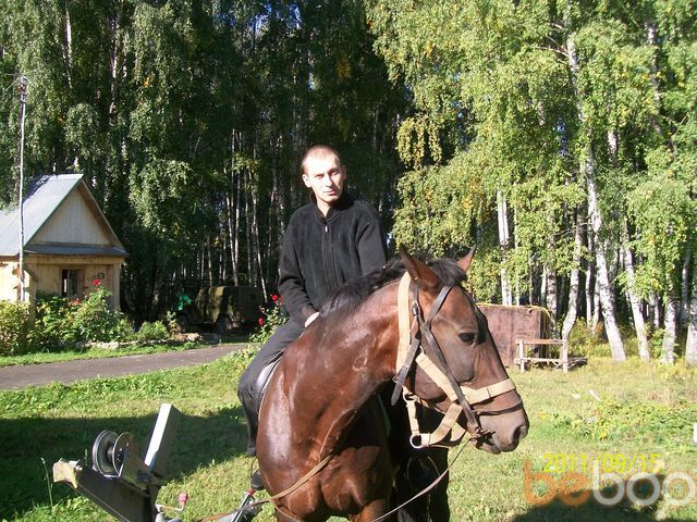  1138716  , 41 ,    -