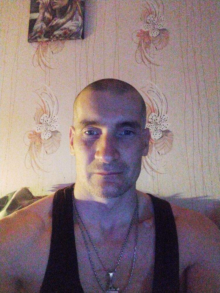  43257166  , 41 ,    