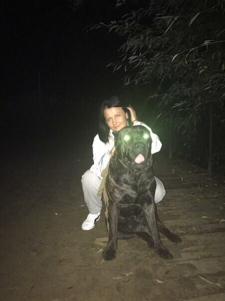 ���������� ������, ���� ������� �����, 48 ���, ������������ ��� ������, ����� � ���������, c�������� ���������