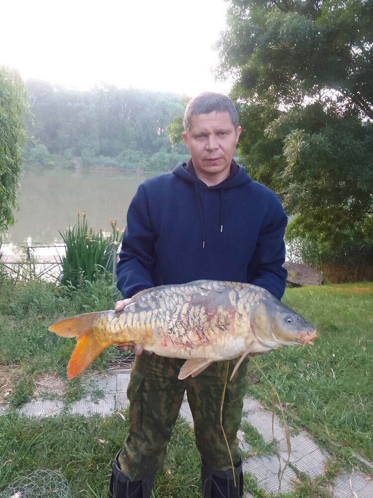  ,   , 39 ,   c 