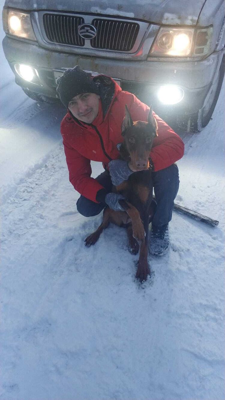 ���������� �����-���������, ���� ������� ����, 37 ���, ������������ ��� ������, ����� � ���������