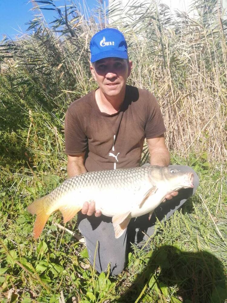 ���� 31412136 ������� ������, 47 ���, ���� ���������� � ��������